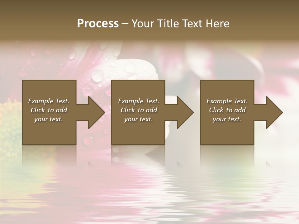 Pretty Blossoming Daisies PowerPoint Template