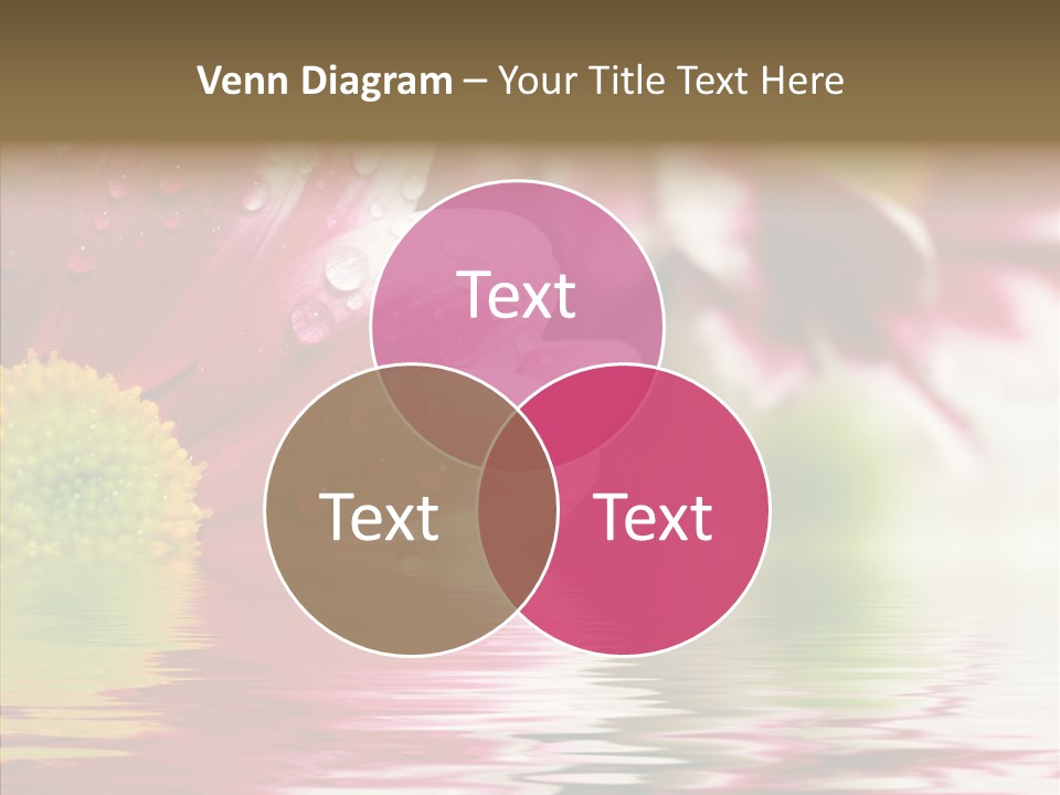 Pretty Blossoming Daisies PowerPoint Template