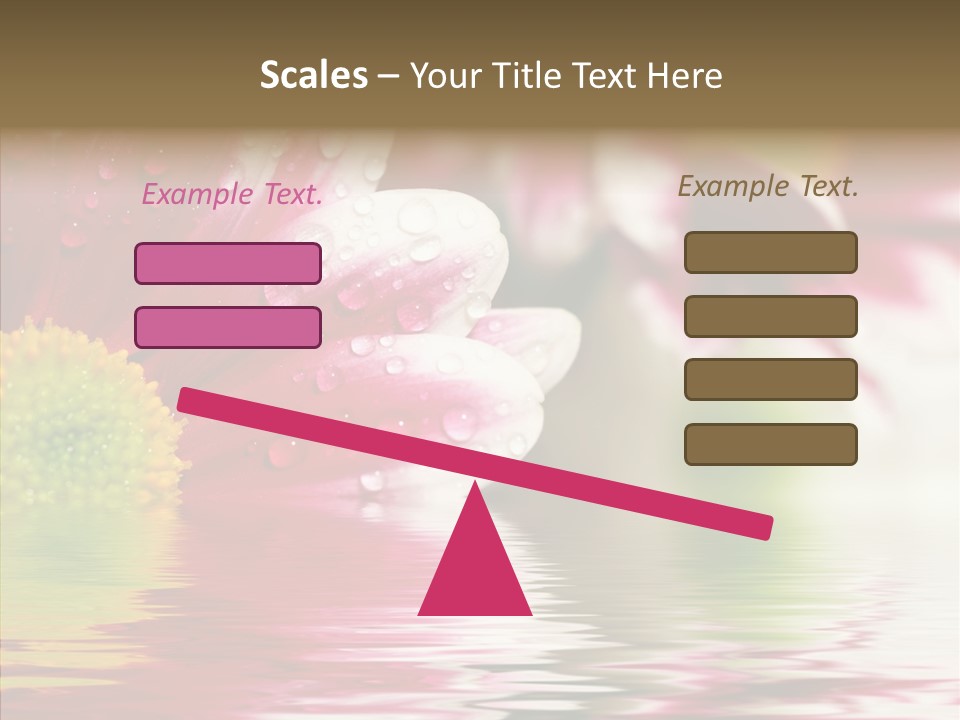 Pretty Blossoming Daisies PowerPoint Template