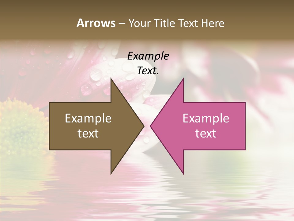 Pretty Blossoming Daisies PowerPoint Template