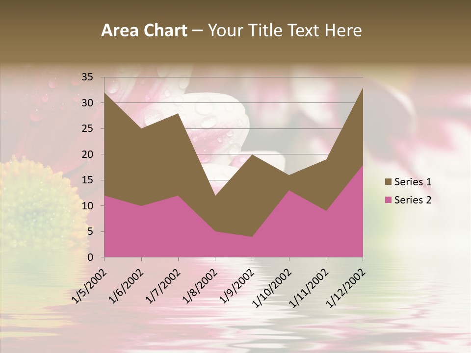 Pretty Blossoming Daisies PowerPoint Template
