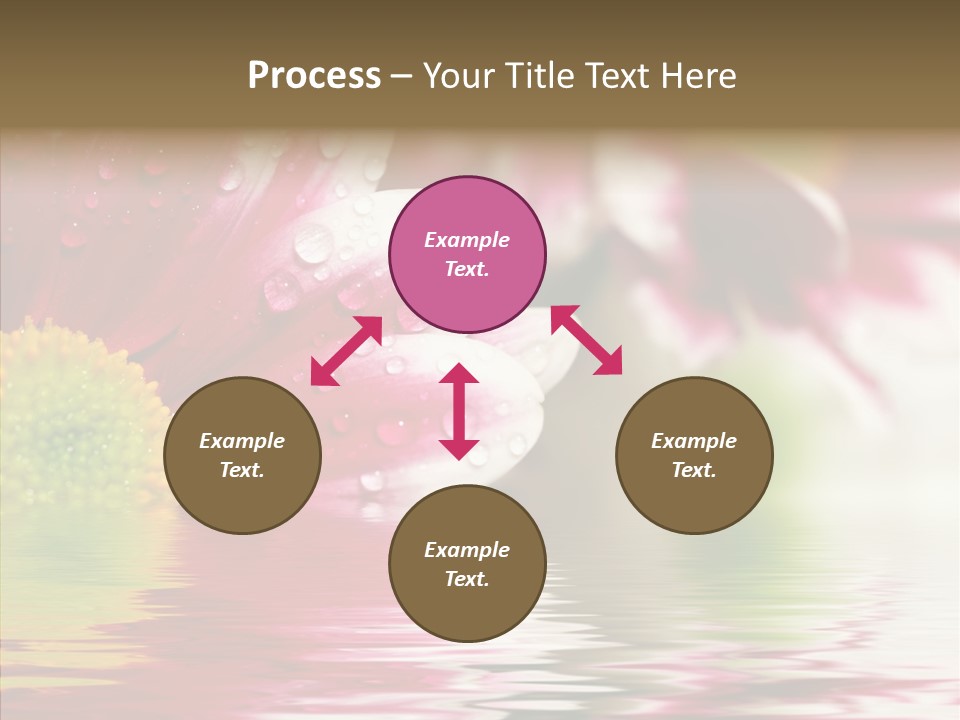 Pretty Blossoming Daisies PowerPoint Template