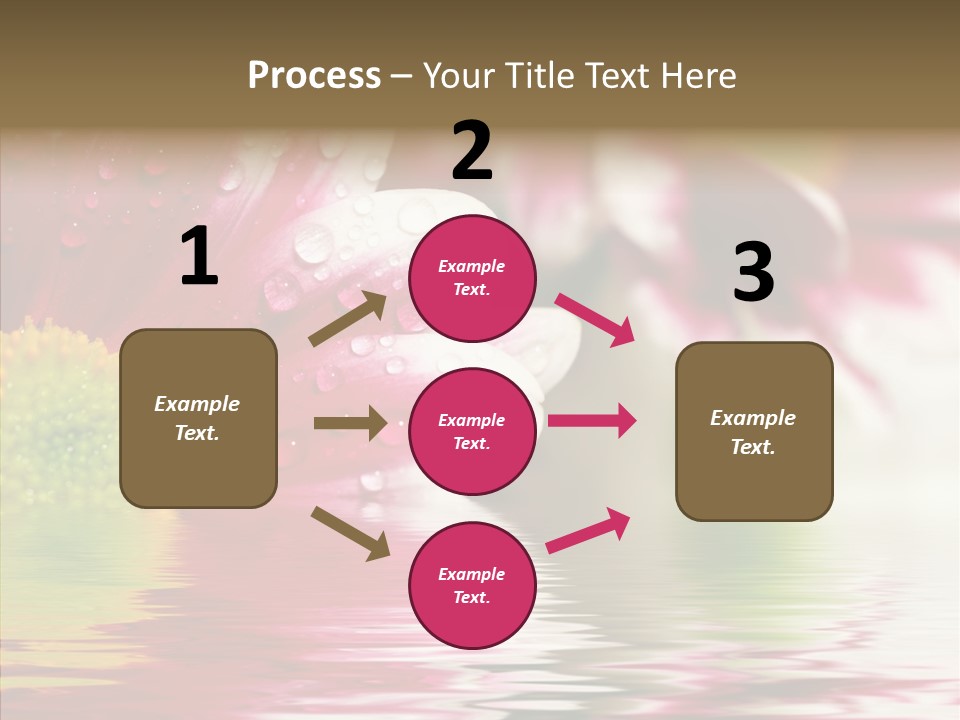 Pretty Blossoming Daisies PowerPoint Template