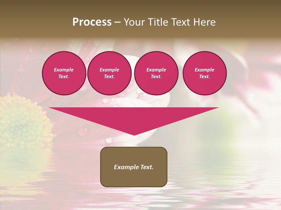 Pretty Blossoming Daisies PowerPoint Template