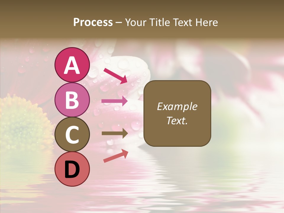 Pretty Blossoming Daisies PowerPoint Template