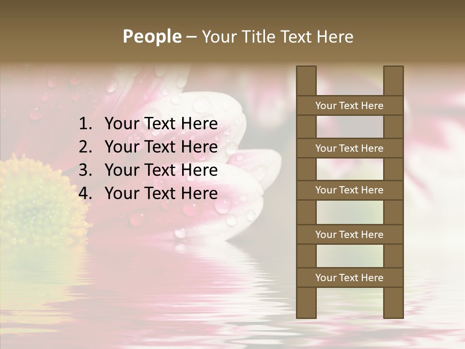 Pretty Blossoming Daisies PowerPoint Template