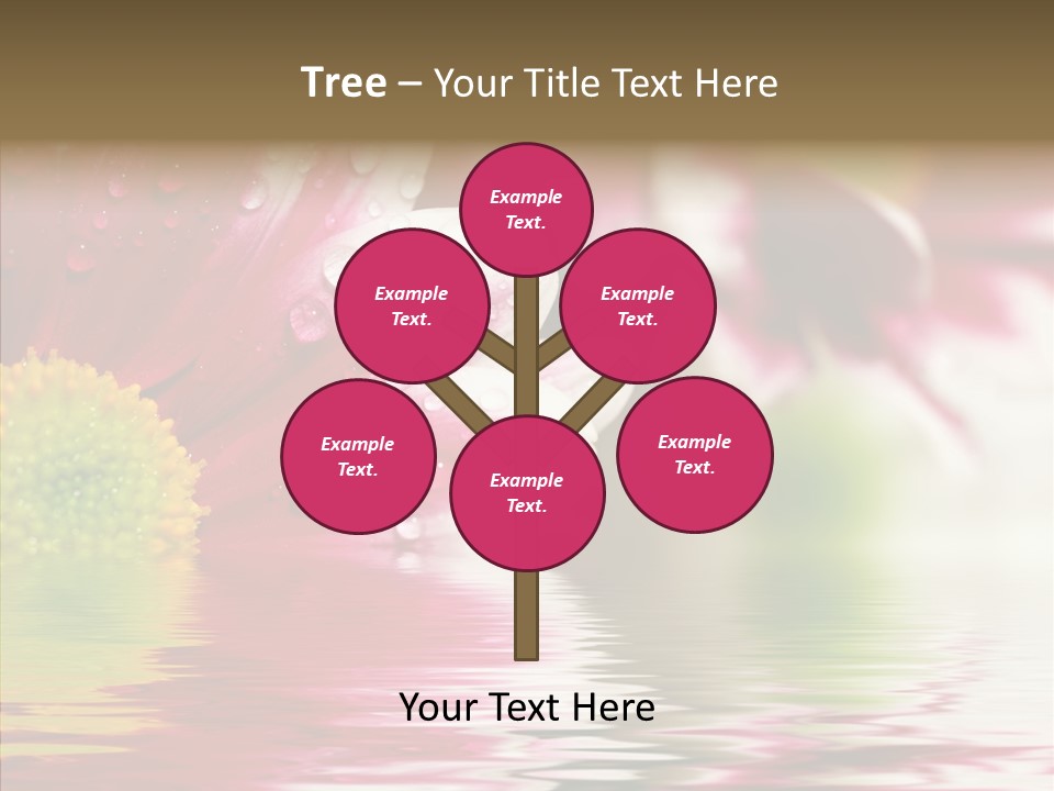 Pretty Blossoming Daisies PowerPoint Template