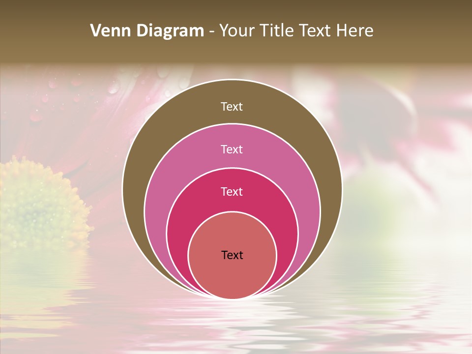 Pretty Blossoming Daisies PowerPoint Template