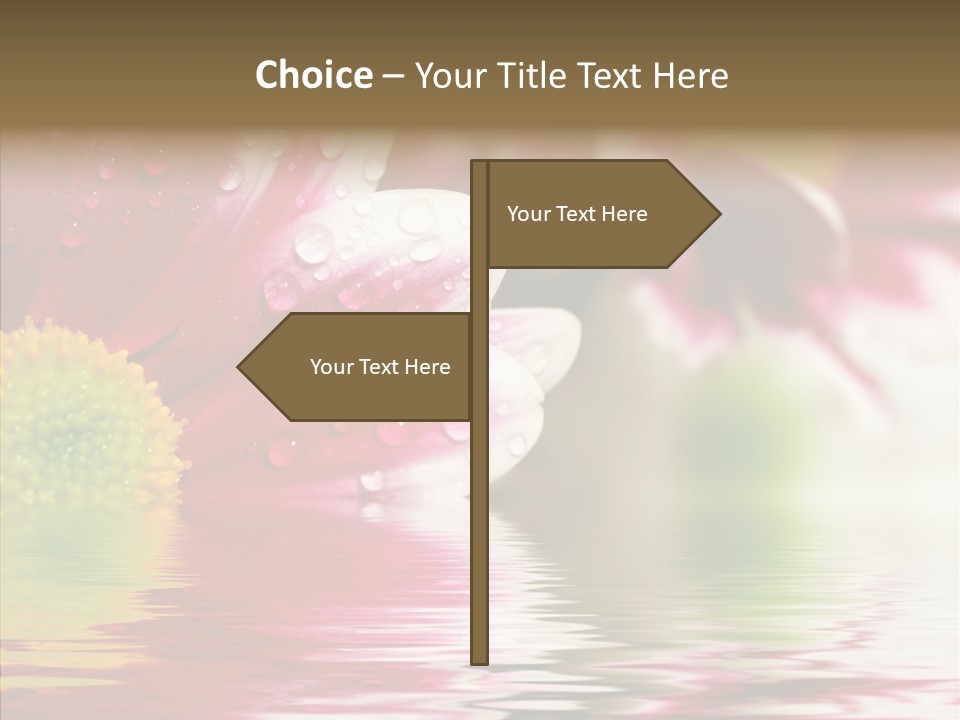 Pretty Blossoming Daisies PowerPoint Template