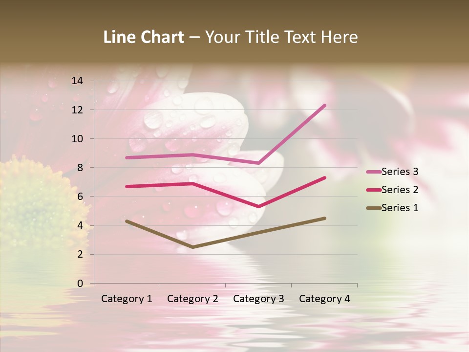 Pretty Blossoming Daisies PowerPoint Template