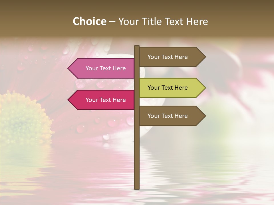 Pretty Blossoming Daisies PowerPoint Template