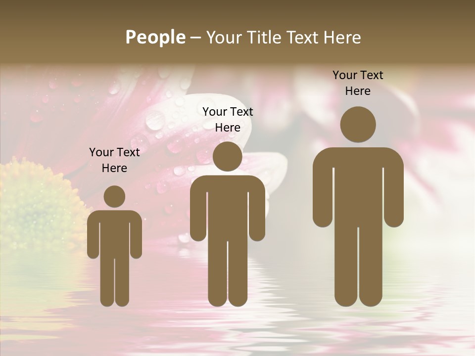 Pretty Blossoming Daisies PowerPoint Template