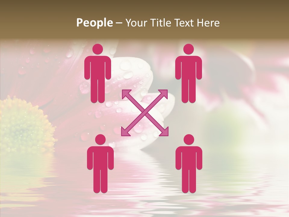 Pretty Blossoming Daisies PowerPoint Template