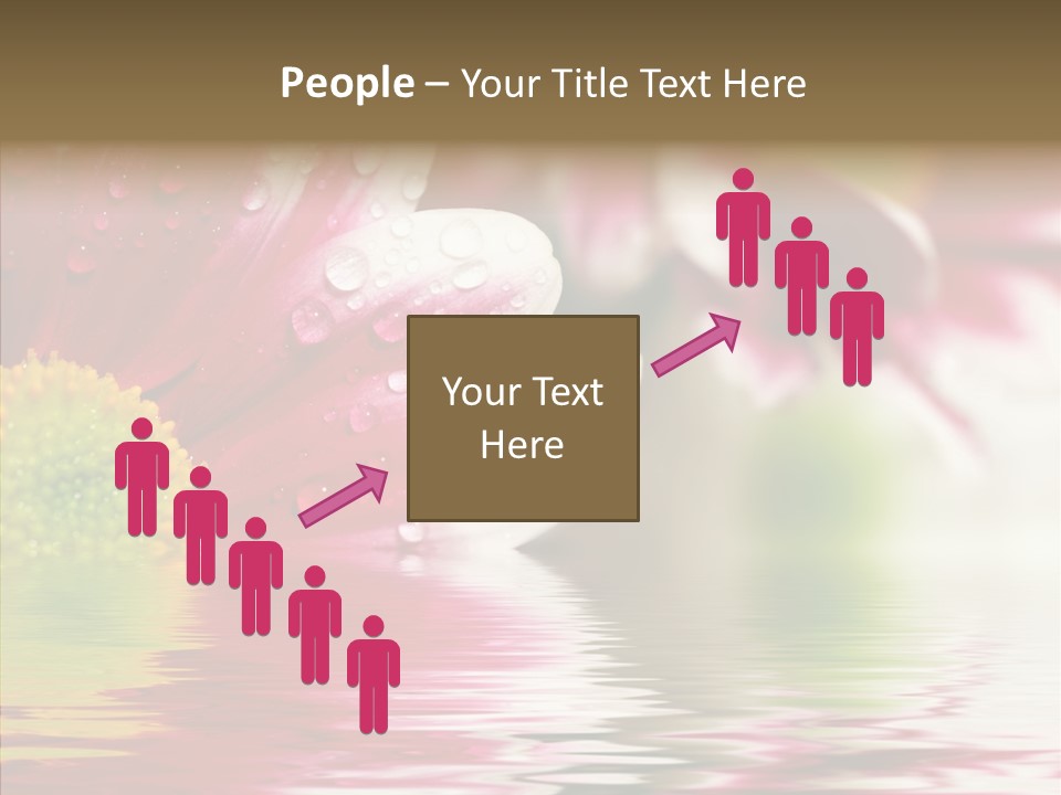 Pretty Blossoming Daisies PowerPoint Template