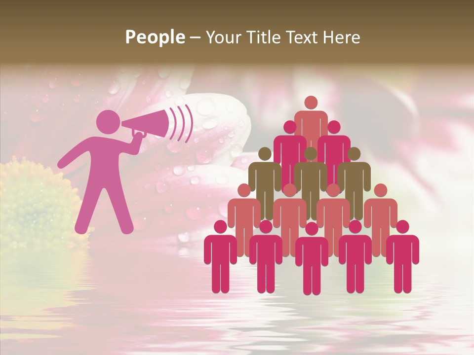 Pretty Blossoming Daisies PowerPoint Template