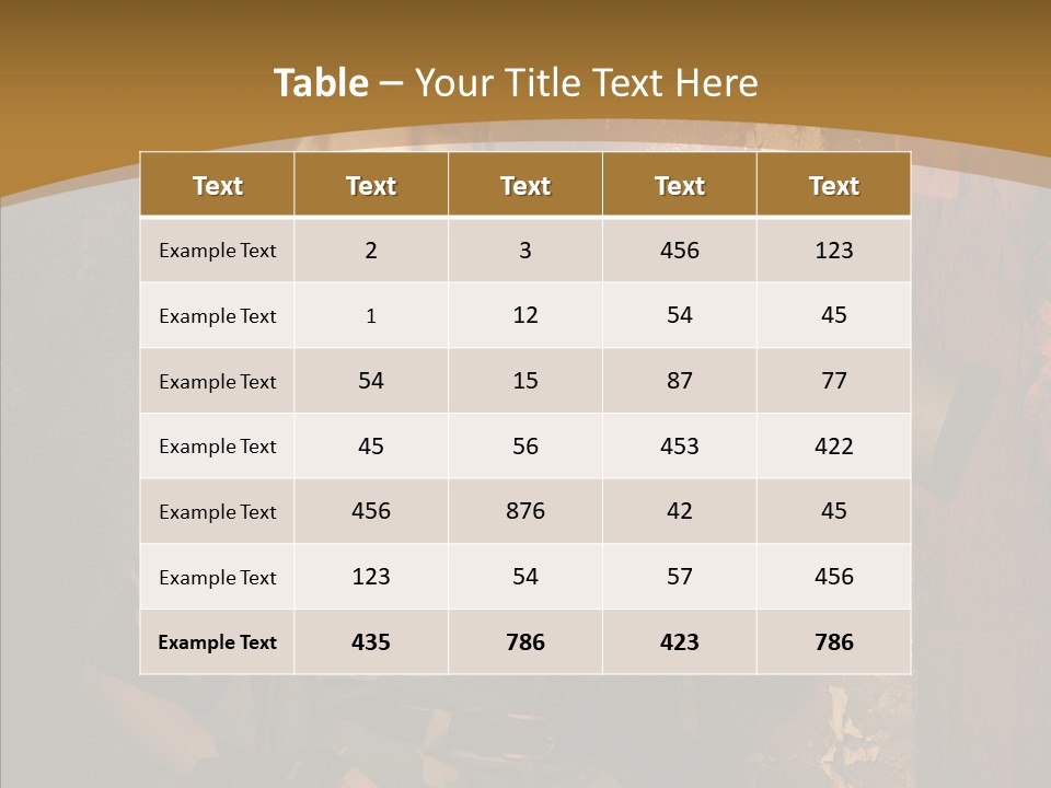 Security Battle Feminism PowerPoint Template