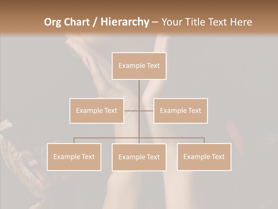 Luxury Glasses Sunglasses PowerPoint Template