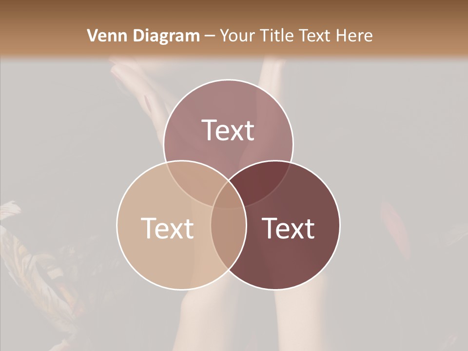 Luxury Glasses Sunglasses PowerPoint Template