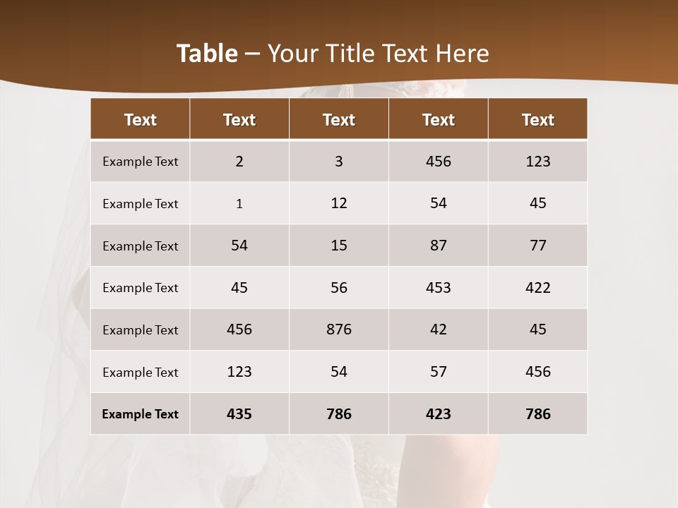 Celebration Bride Fiancee PowerPoint Template