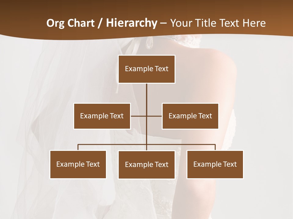 Celebration Bride Fiancee PowerPoint Template