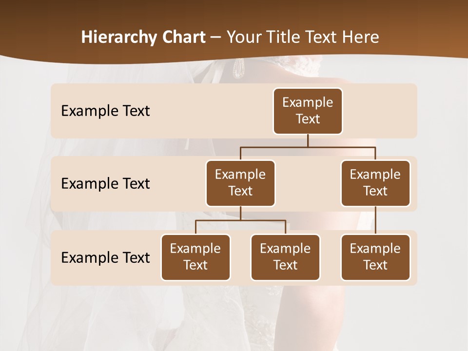 Celebration Bride Fiancee PowerPoint Template