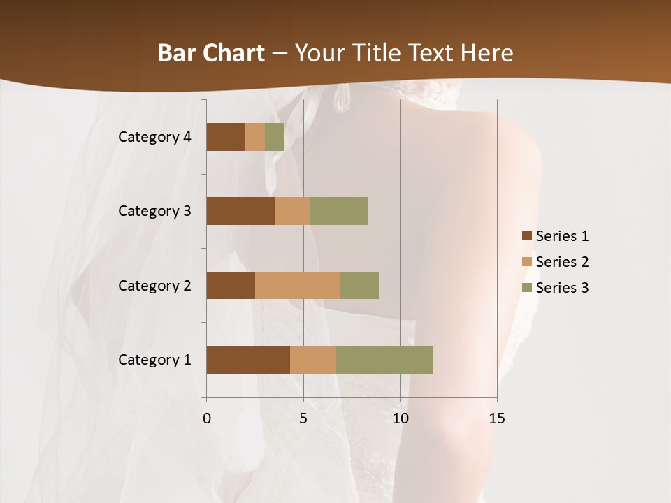 Celebration Bride Fiancee PowerPoint Template