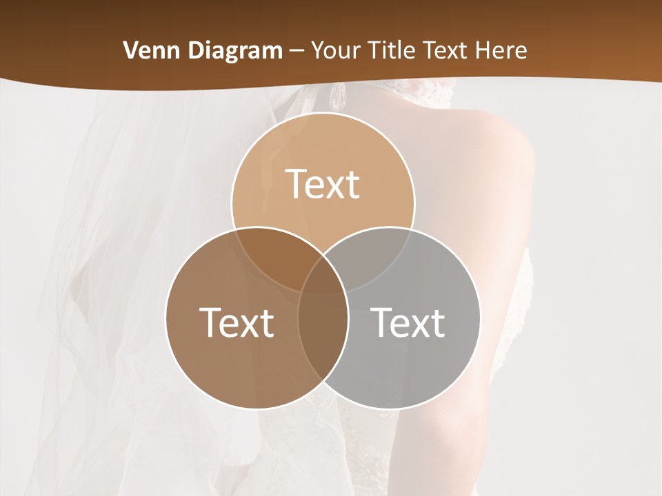 Celebration Bride Fiancee PowerPoint Template