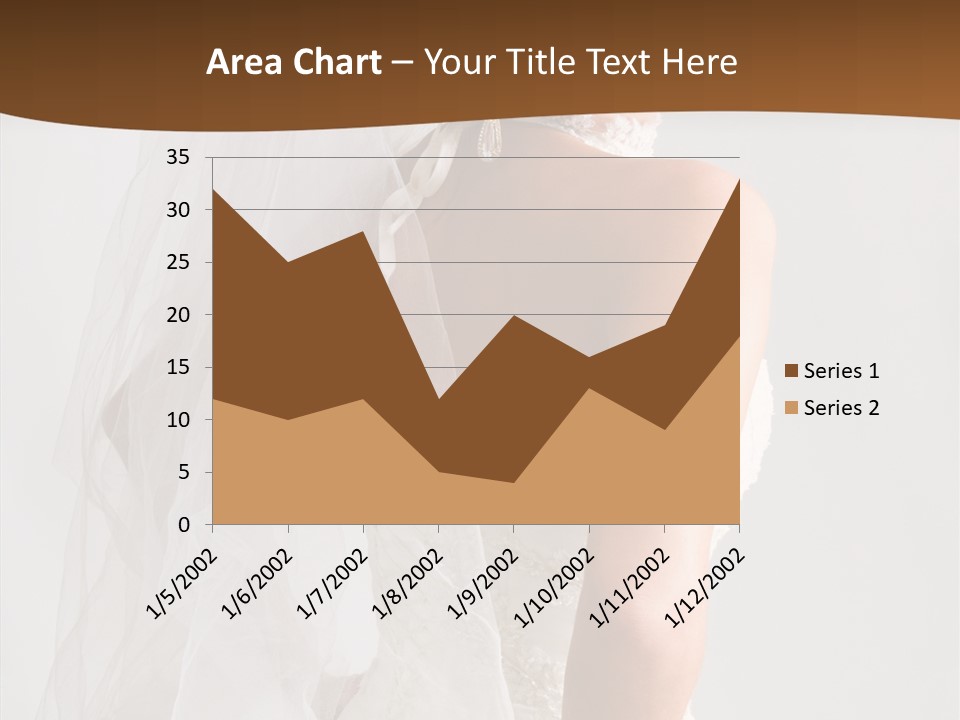 Celebration Bride Fiancee PowerPoint Template