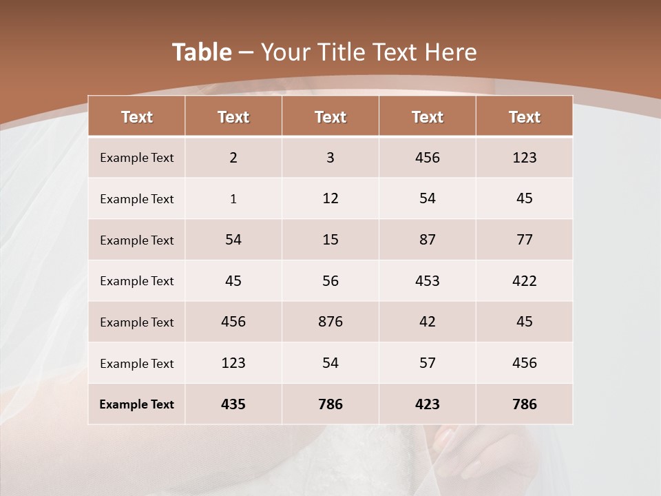 Beautiful Accessory Holds PowerPoint Template