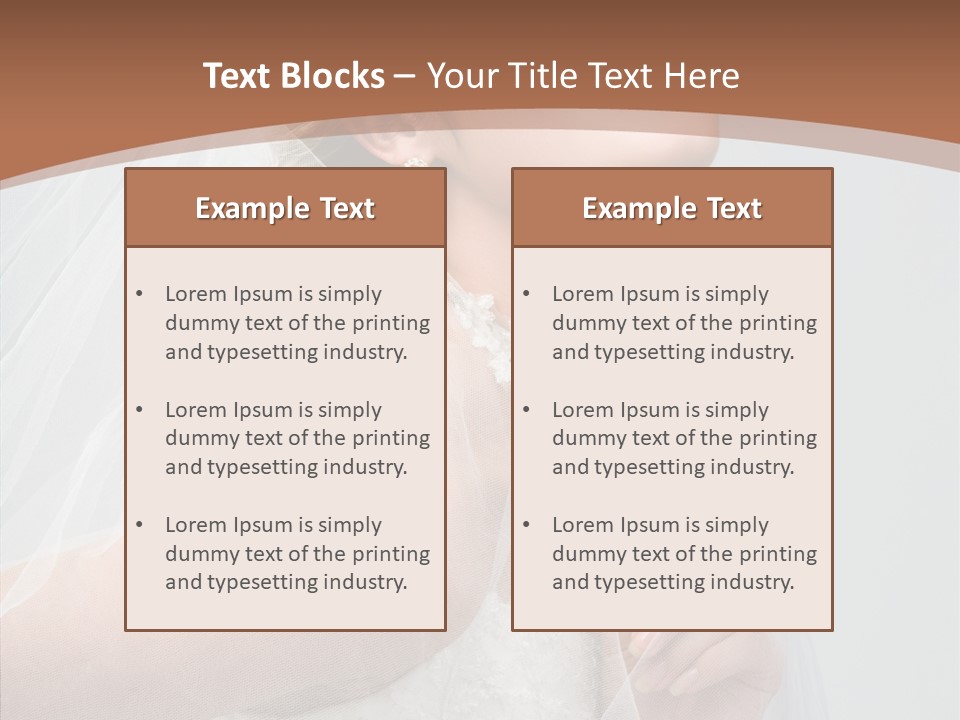 Beautiful Accessory Holds PowerPoint Template