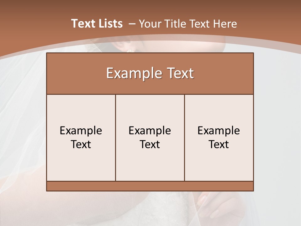 Beautiful Accessory Holds PowerPoint Template