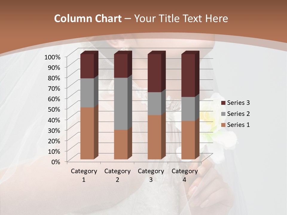 Beautiful Accessory Holds PowerPoint Template