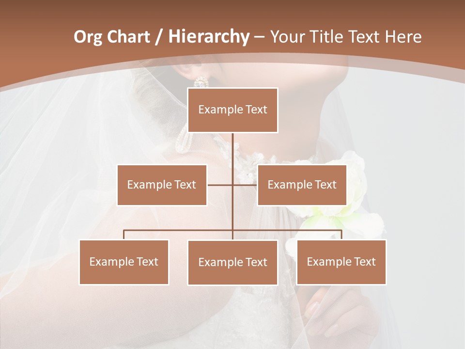 Beautiful Accessory Holds PowerPoint Template