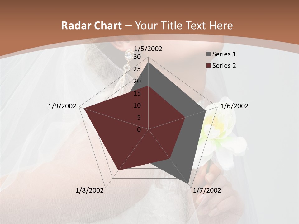Beautiful Accessory Holds PowerPoint Template