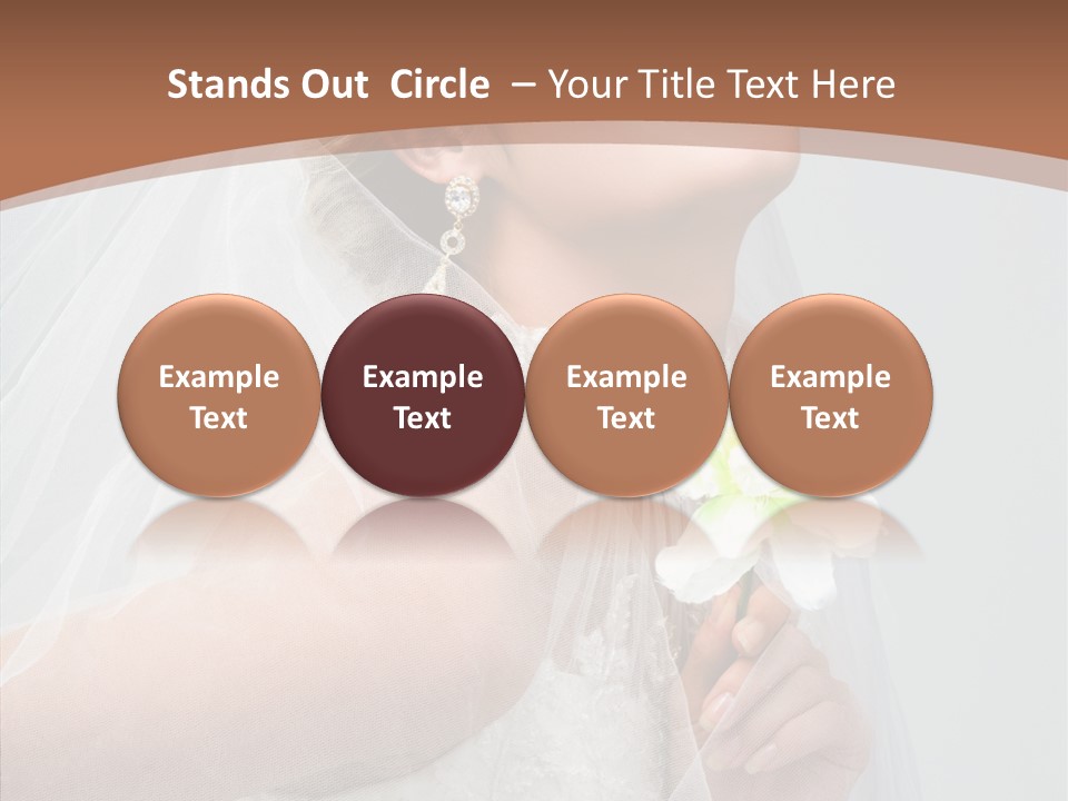 Beautiful Accessory Holds PowerPoint Template