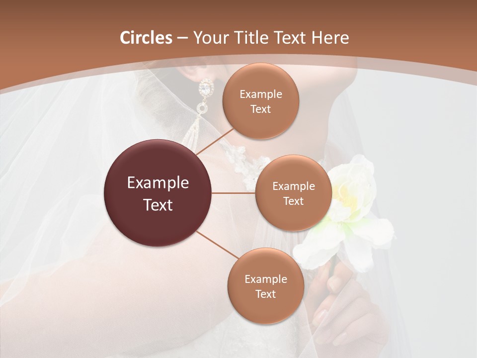 Beautiful Accessory Holds PowerPoint Template