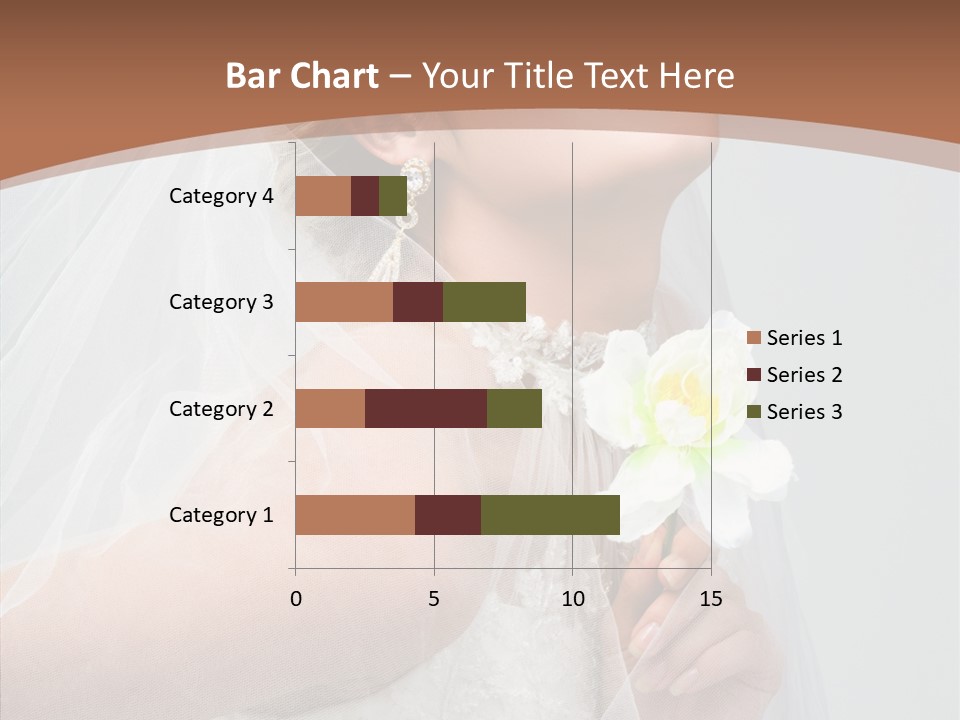 Beautiful Accessory Holds PowerPoint Template