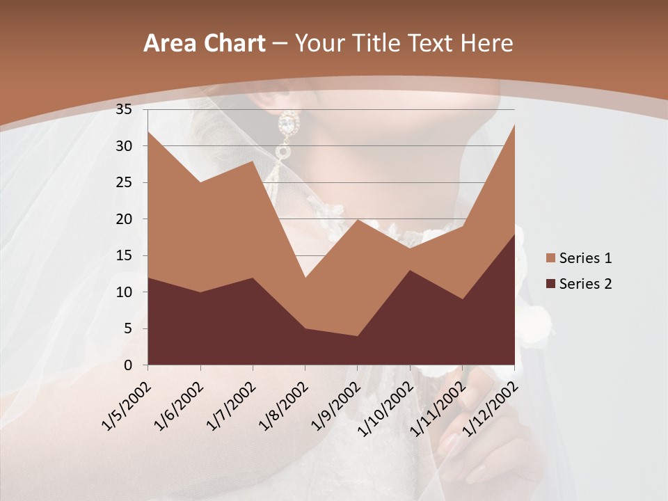 Beautiful Accessory Holds PowerPoint Template
