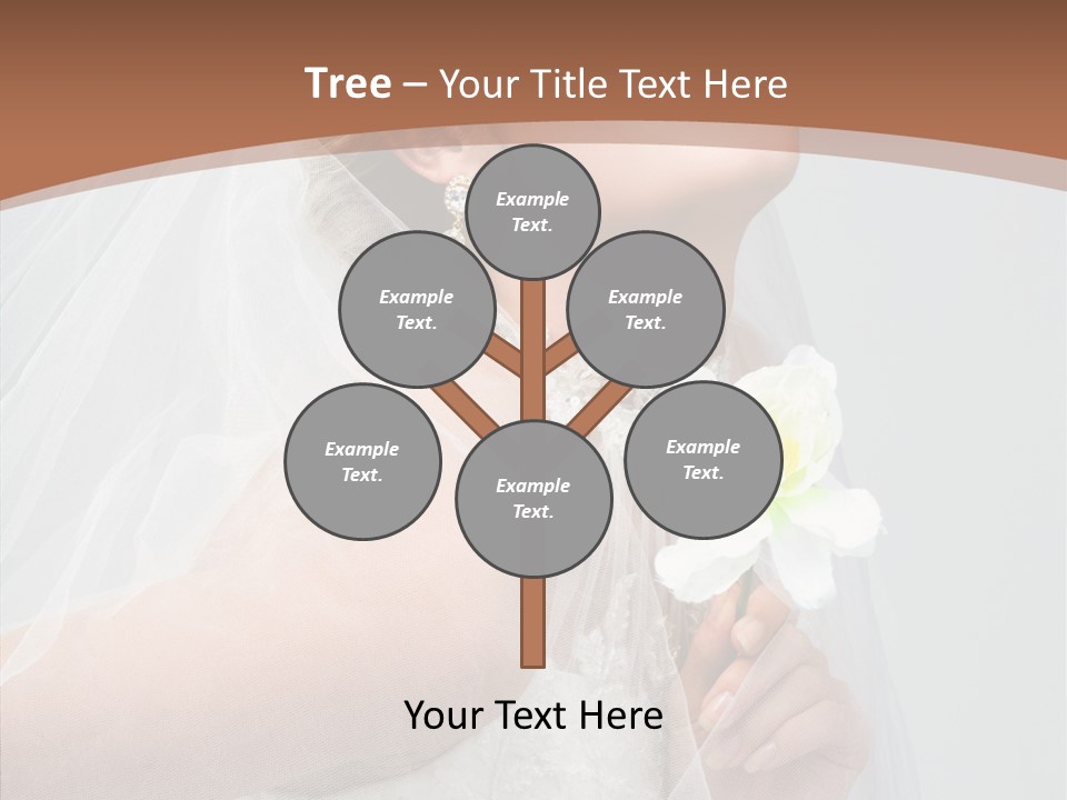 Beautiful Accessory Holds PowerPoint Template