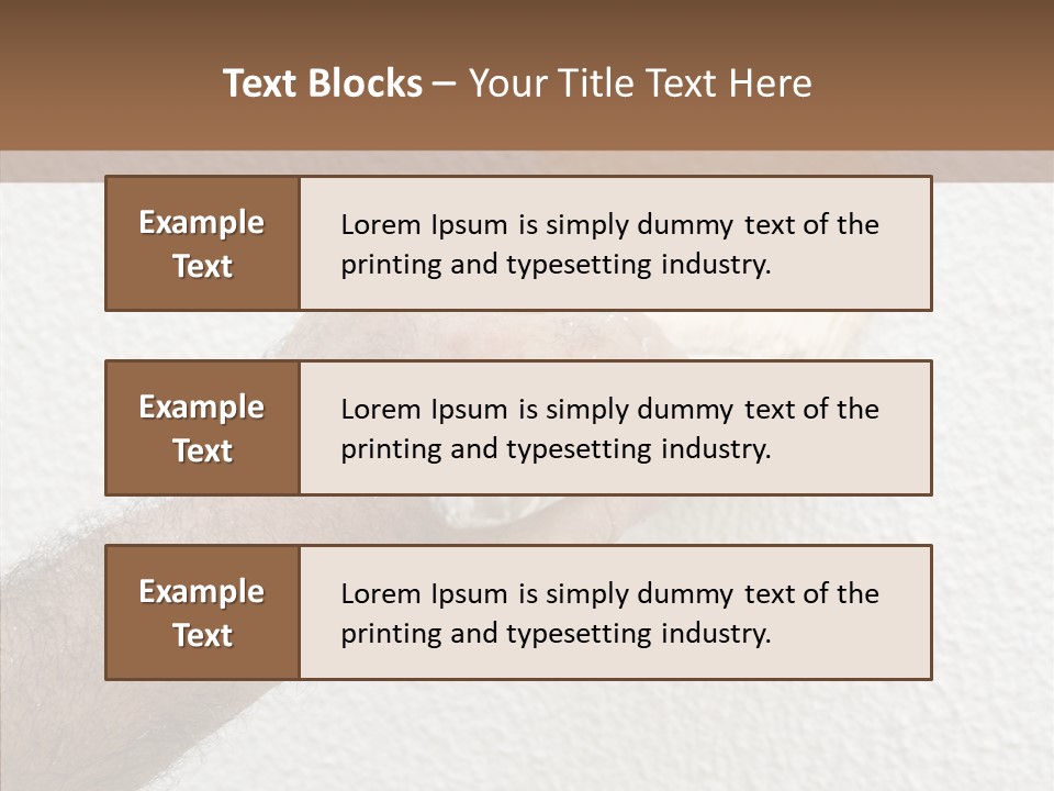 Color Home Construction PowerPoint Template
