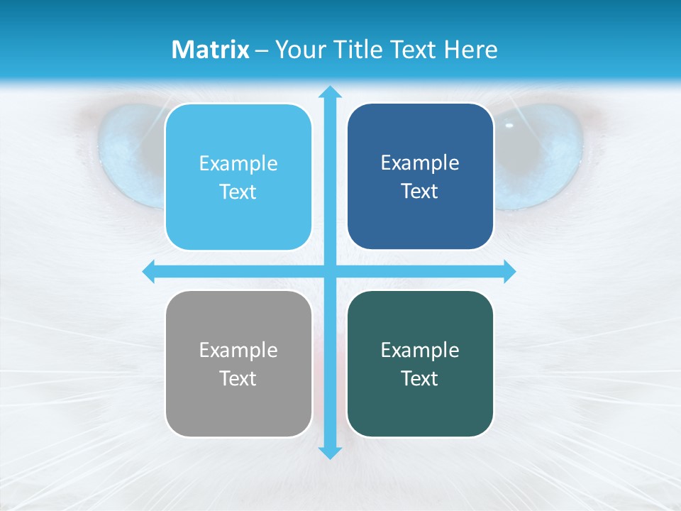 Tail Feline Curious PowerPoint Template