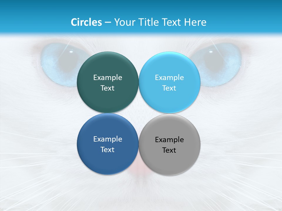 Tail Feline Curious PowerPoint Template