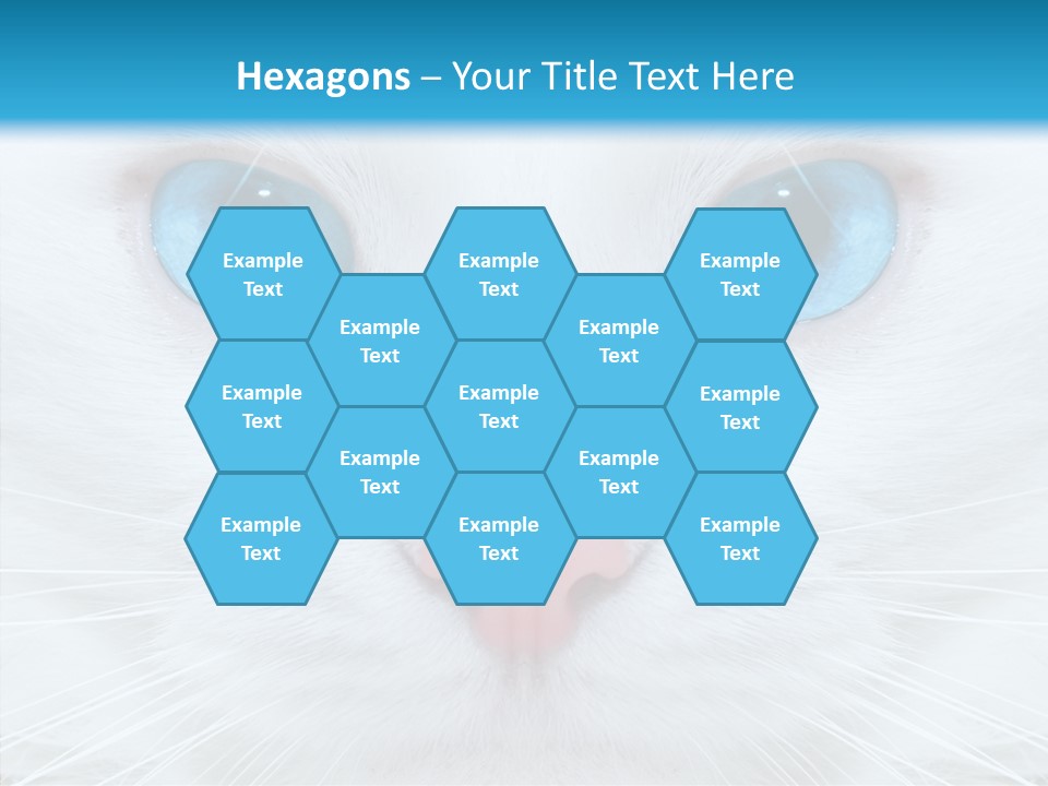 Tail Feline Curious PowerPoint Template