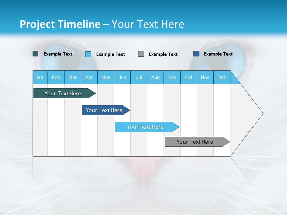 Tail Feline Curious PowerPoint Template