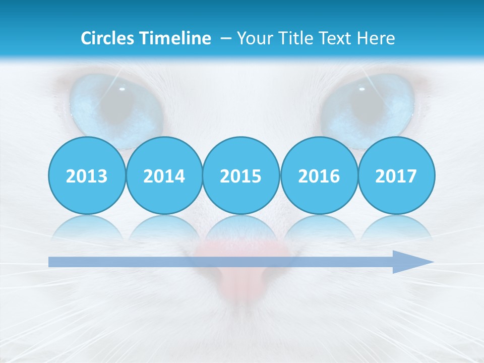 Tail Feline Curious PowerPoint Template