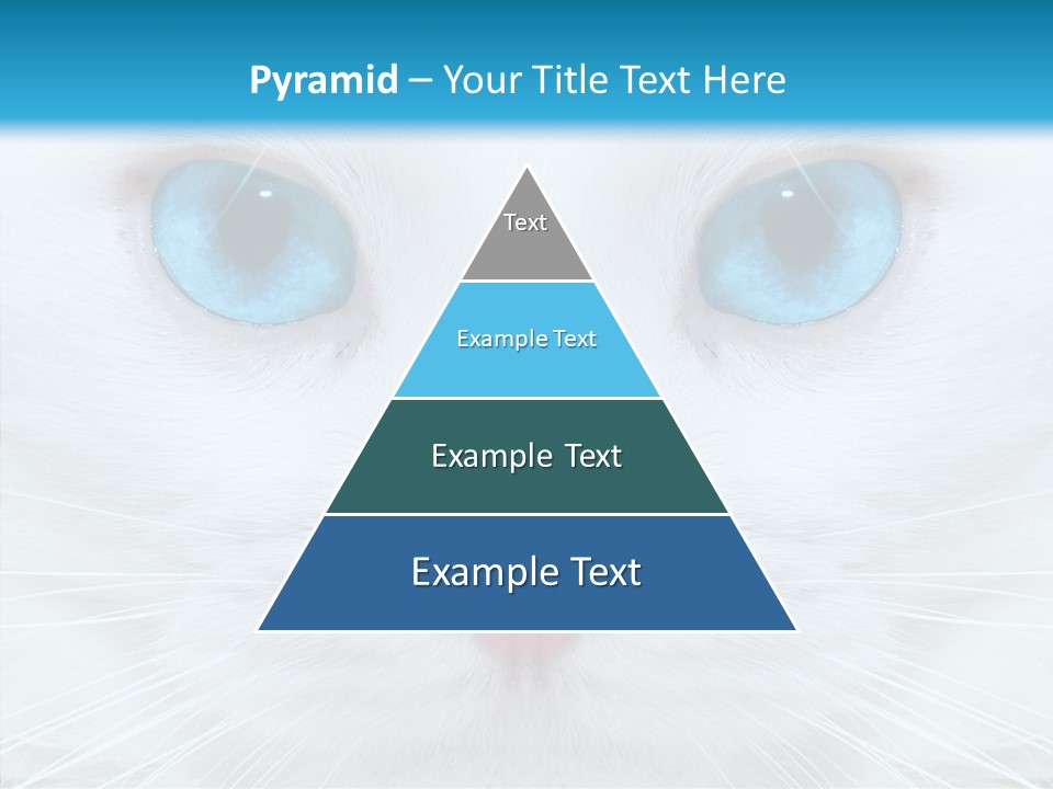 Tail Feline Curious PowerPoint Template