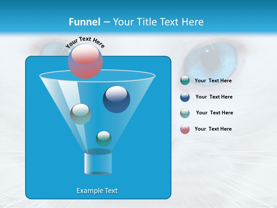 Tail Feline Curious PowerPoint Template