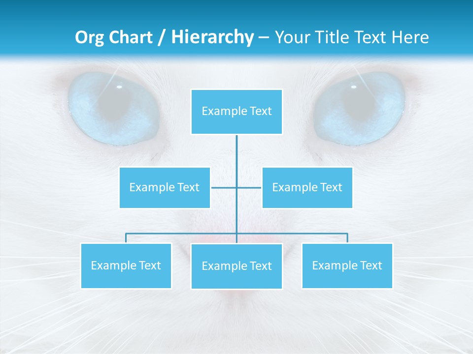 Tail Feline Curious PowerPoint Template
