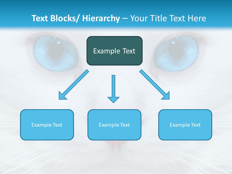 Tail Feline Curious PowerPoint Template