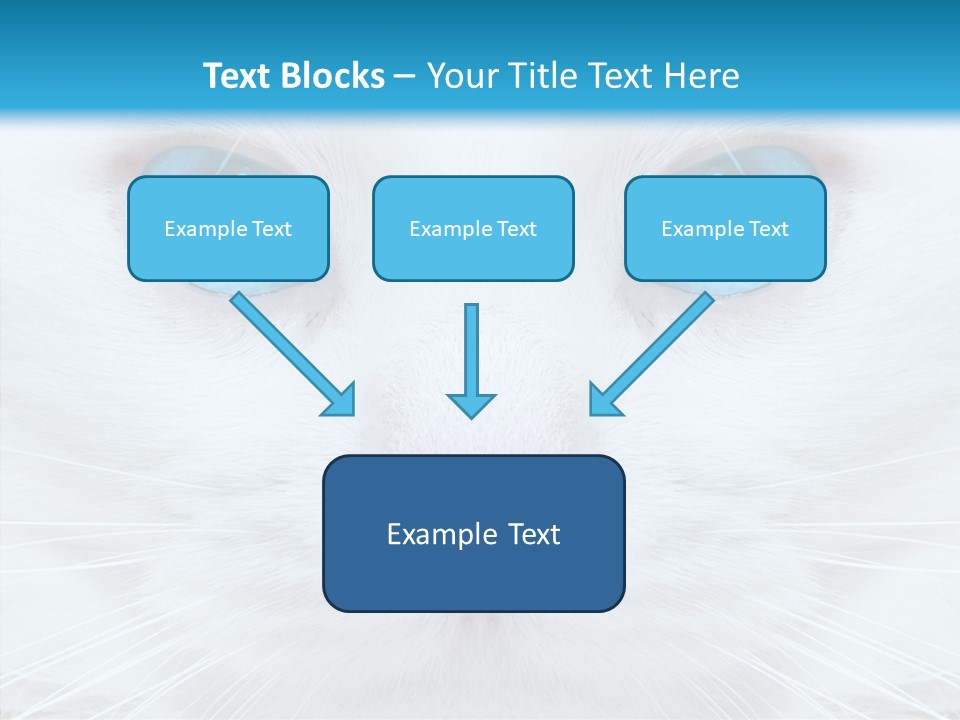 Tail Feline Curious PowerPoint Template